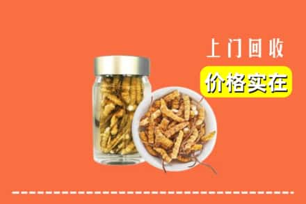 收购资讯:通化市柳河回收散虫草