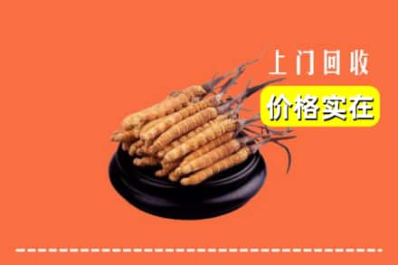 收购资讯:通化市柳河回收冬虫夏草