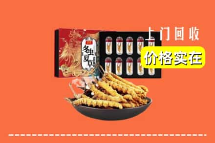 通化市柳河回收虫草